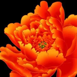 Meet your Posher, Wanda